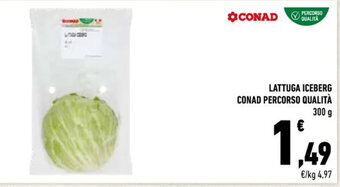 Conad LATTUGA ICEBERG CONAD PERCORSO QUALITÀ 300 g offerta