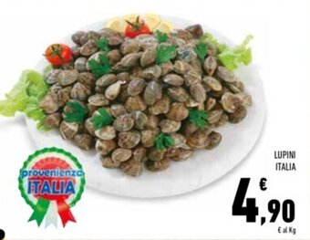 Conad Superstore LUPINI ITALIA offerta