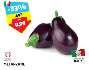 ALDI MELANZANE offerta