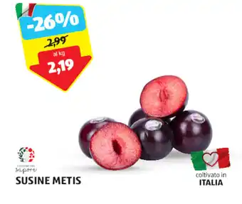 SUSINE METIS