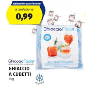 ALDI Ghiaccio Facile GHIACCIO A CUBETTI 1 kg offerta