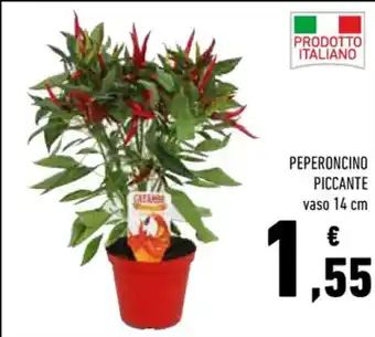 Conad Superstore PEPERONCINO PICCANTE vaso 14 cm offerta