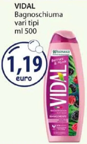 Acqua & Sapone VIDAL Bagnoschiuma vari tipi ml 500 offerta
