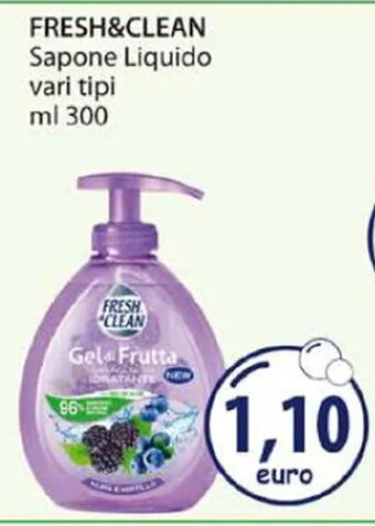 Acqua & Sapone FRESH&CLEAN Sapone Liquido vari tipi ml 300 offerta