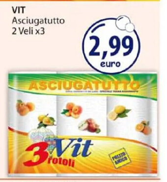 VIT Asciugatutto 2 Veli x3