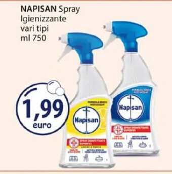 Acqua & Sapone NAPISAN Spray Igienizzante vari tipi ml 750 offerta