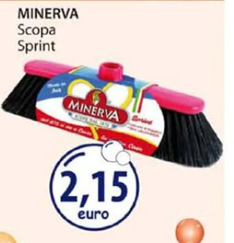 Acqua & Sapone MINERVA Scopa Sprint offerta