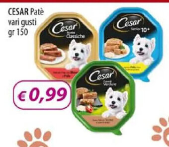 Acqua & Sapone CESAR Patè vari gusti gr 150 offerta