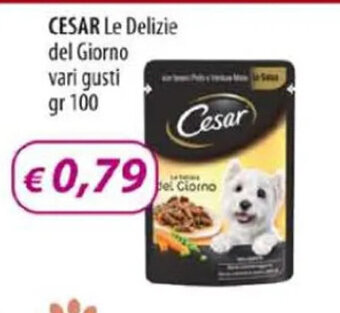 Acqua & Sapone CESAR Le Delizie del Giorno vari gusti gr 100 offerta