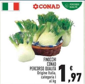 Conad FINOCCHI CONAD PERCORSO QUALITA Origine Italia, categoria I al kg offerta