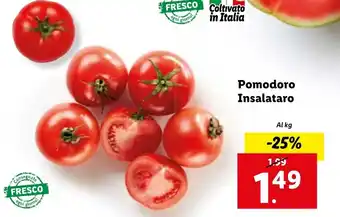 Lidl Pomodoro Insalataro offerta