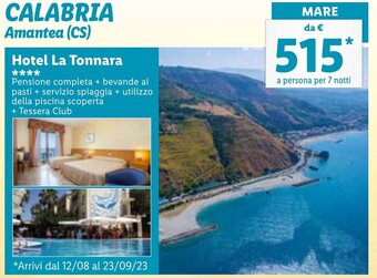 Lidl CALABRIA Amantea (CS) offerta