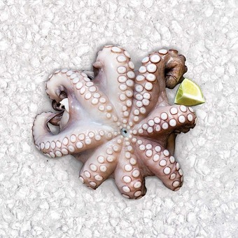 Sapore di Mare Polpo medio offerta