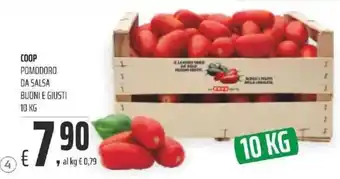Coop COOP POMODORO DA SALSA BUONI E GIUSTI 10 KG offerta