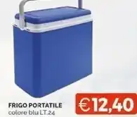 Mercatò Frigo portatile offerta