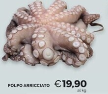 Mercatò Polpo arricciato offerta