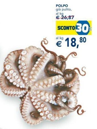 Esselunga POLPO già pulito offerta