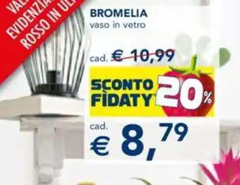 Esselunga BROMELIA vaso in vetro offerta