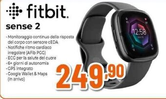 Expert fitbit sense 2 offerta