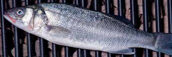 Carrefour Branzino offerta