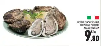 Conad OSTRICHE CONCAVE ITALIANE SELEZIONATE PRODOTTO ALLEVATO IN ITALIA offerta