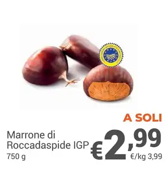 Vivo Supermercati Aia bon roll di tacchino 280g offerta
