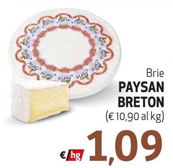 Maxi Family Brie PAYSAN BRETON offerta