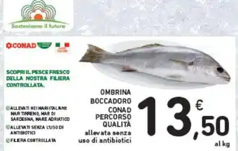 Conad OMBRINA BOCCADORO CONAD PERCORSO QUALITÀ offerta