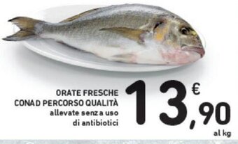Conad ORATE FRESCHE CONAD PERCORSO QUALITÀ offerta