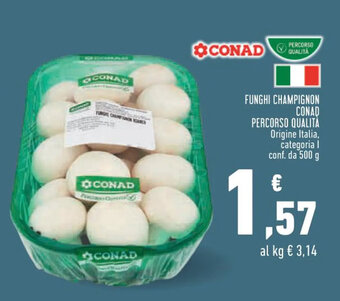 Conad City FUNGHI CHAMPIGNON CONAD PERCORSO QUALITÀ 500g offerta