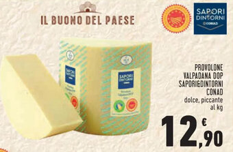 Conad City PROVOLONE VALPADANA DOP SAPORI&DINTORNI CONAD dolce, piccante offerta