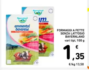 FORMAGGI A FETTE SENZA LATTOSIO BAYERNLAND vari tipi, 100 g