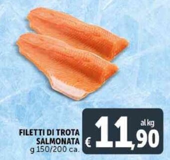 Deco Supermercati FILETTI DI TROTA SALMONATA g 150/200 ca. offerta