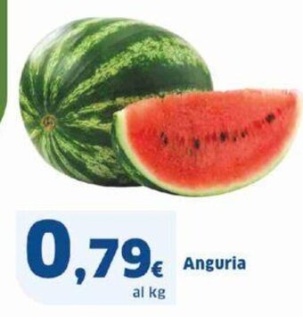 Sigma Anguria offerta