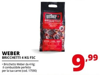 Comet WEBER BRICCHETTI 4 KG FSC offerta