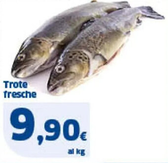 Sigma Trote fresche offerta