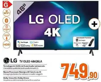 Expert LG TV OLED 48A26LA offerta