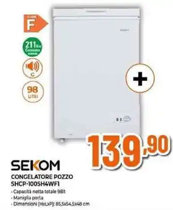 Expert SEKOM CONGELATORE POZZO SHCP-100SH4WFI offerta