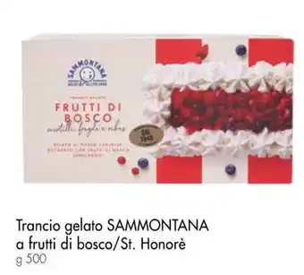 Famila Superstore Trancio gelato SAMMONTANA a frutti di bosco/St. Honorè g 500 offerta