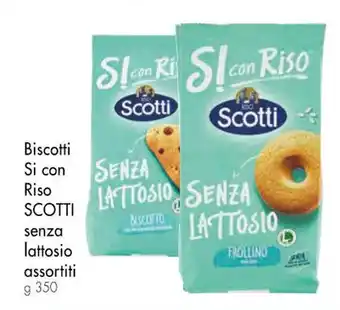 Biscotti Si con Riso SCOTTI senza lattosio assortiti g 350