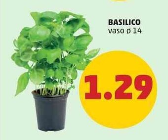 PENNY BASILICO vaso ø 14 offerta