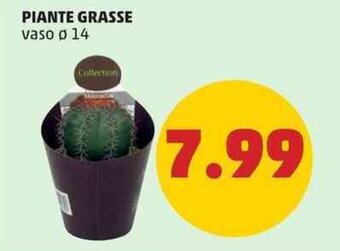 PENNY PIANTE GRASSE vaso ø 14 offerta