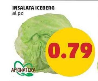 PENNY INSALATA ICEBERG offerta