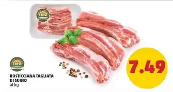 PENNY ROSTICCIANA TAGLIATA DI SUINO offerta