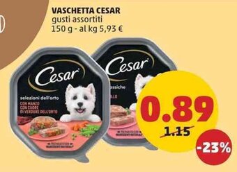 VASCHETTA CESAR gusti assortiti 150 g