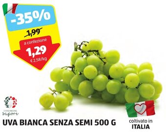 ALDI UVA BIANCA SENZA SEMI 500 G offerta
