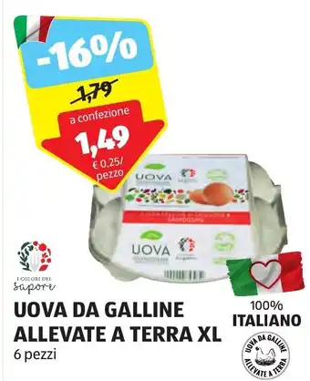 ALDI UOVA DA GALLINE ALLEVATE A TERRA XL 6 pezzi offerta