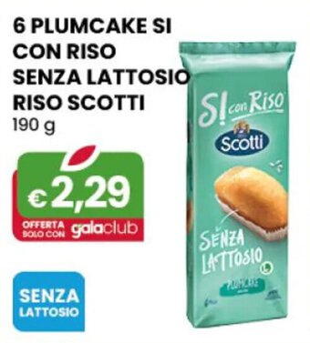 6 PLUMCAKE SI CON RISO SENZA LATTOSIO RISO SCOTTI 190 g