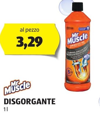 Mr Muscle DISGORGANTE 1 l