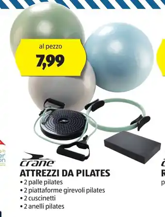 crane ATTREZZI DA PILATES • 2 palle pilates • 2 piattaforme girevoli pilates • 2 cuscinetti • 2 anelli pilates